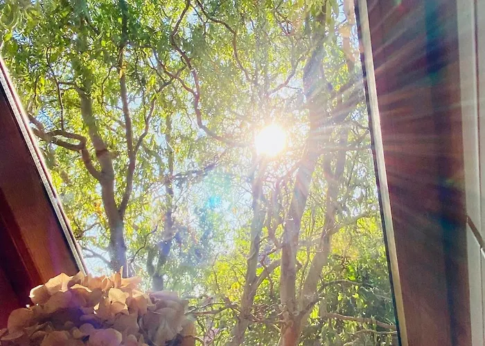 Schoener Schlafen Im Naechsten Unesco Welterbe-sauna アパート *